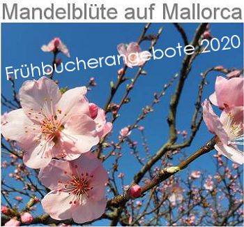 Frühbucherangebote zur Mandeblüte 2020